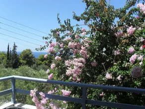 Fiore Di Mare Studios - View from room