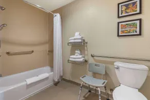 Comfort Suites Medical Center near Six Flags - Salle de bain