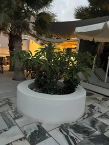 Pension George - Reception
