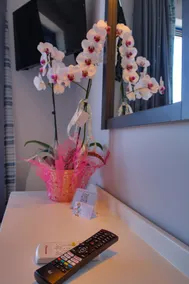 Alexis Hotel - Chambre