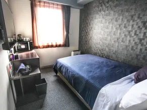 HOTEL LiVEMAX PREMIUM Himejieki-Minami - Room
