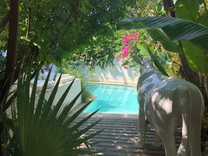Dar Marsa Cubes - Pool