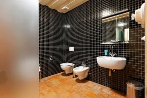 Porčův mlýn - Bagno