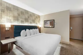 Best Western PLUS City Centre Inn - Chambre