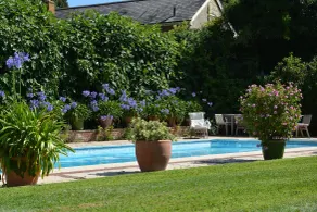 Stable Cottage at the Grove, Great Glemham - Pool