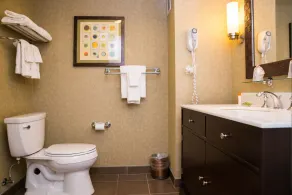 Isle Casino Hotel Bettendorf - A Caesars Rewards Destination - Badezimmer