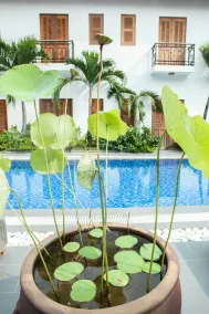 La Casita Saigon - Piscine