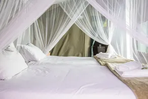 Shalati Safari Camp - Rom