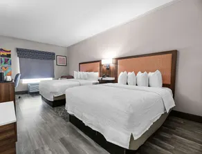 Hampton Inn Seguin - Chambre