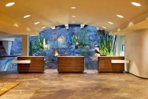Phoenix Marriott Resort Tempe at The Buttes - Réception