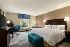 Hampton Inn & Suites Atlanta Airport West/Camp Creek Pkwy - Chambre