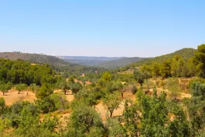 Hotel Mas de la Costa - Vistas desde la habitación
