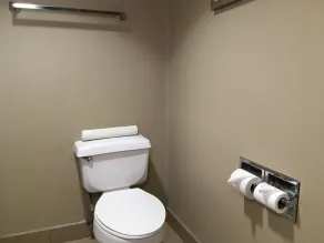 Comfort Inn & Suites near Kino Sports Complex - Bathroom