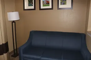 Comfort Suites New Braunfels - San Antonio Area - Chambre