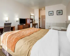 Comfort Inn Elko - Room
