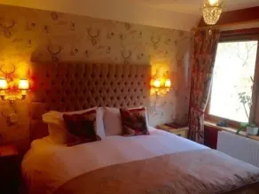 Highland Bear Lodge & Woodland Bear Huts - Quarto