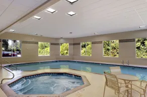 Ramada by Wyndham Olympia - Pool