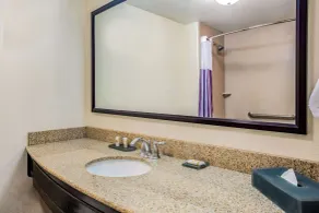 La Quinta by Wyndham Fowler - Salle de bain