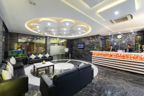 Palm Galaxy - Reception