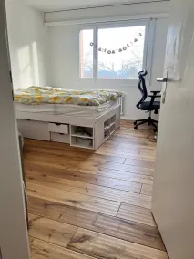 Green Basel Home - 5 beds free parking - Rom
