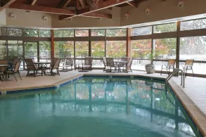 Detroit Marriott Livonia - Piscine