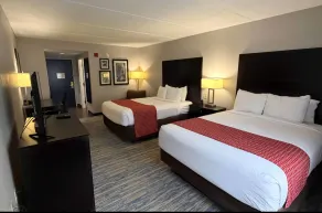 Comfort Inn & Suites Tampa North I-75 - Værelse