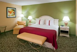 Holiday Inn Chantilly-Dulles Expo Airport by IHG - Chambre
