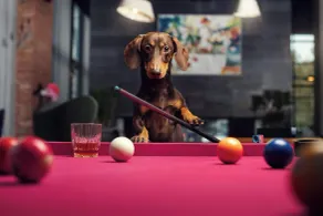 Moxy Tbilisi - Pool
