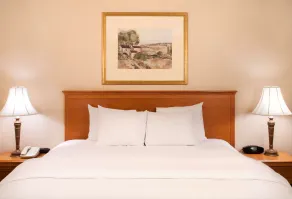 Hampton Inn & Suites Addison - Chambre