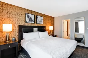 Embassy Suites by Hilton Minneapolis Airport - Chambre