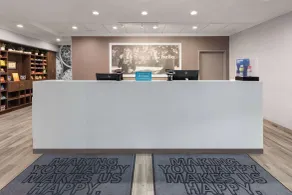 Hampton Inn & Suites Saginaw - Réception