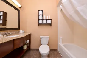 Hampton Inn Elkhart IN - Salle de bain