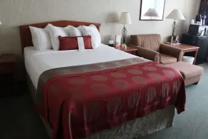 Ramada Plaza by Wyndham Regina Downtown - Room