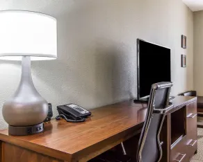 Comfort Suites West Omaha - Chambre