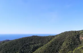 La Roqueta Hotel - Vue de la chambre