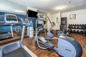 Comfort Inn Detroit Downtown - Salle de remise en forme
