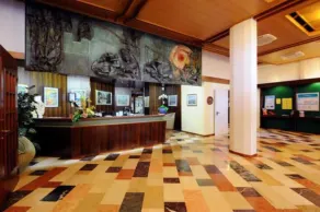 Hotel Palme & Suite - Réception