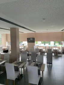 Hotel Sercotel Plana Parc - Restaurant