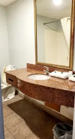 Metro Inn & Suites - Bathroom