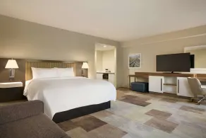 Hampton Inn Salt Lake City Cottonwood UT - Habitación