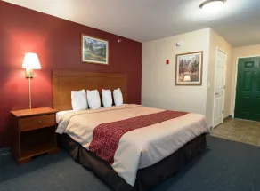 Red Roof Inn & Suites Dickinson - Chambre