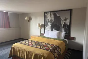 Super 8 by Wyndham Belle Fourche SD - Chambre