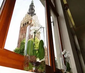 Hotel Atrium - View from room