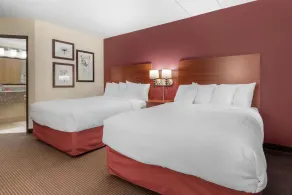 SureStay Plus Hotel by Best Western Litchfield - Zimmer