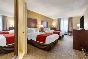 Comfort Inn Auburn-Worcester - Chambre