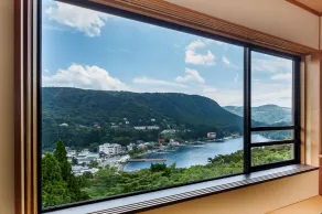 Washintei Hogetsu - View from room