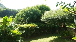 cocoa pod studio - View from room