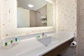 Holiday Inn Grand Rapids - South by IHG - Salle de bain