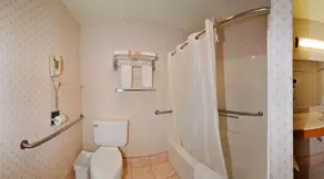 Econo Lodge Castro Valley I-580 - Salle de bain