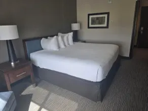 City Express by Marriott Denver Airport - Chambre